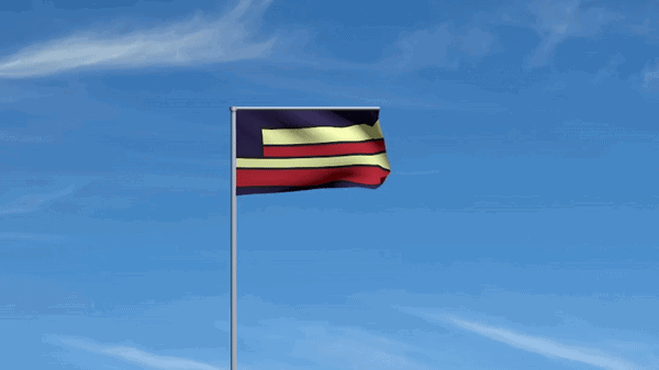 The flag of the main country of the project, where the comedians' events take place. | Le drapeau du pays principal du projet, où se déroulent les événements des humoristes.